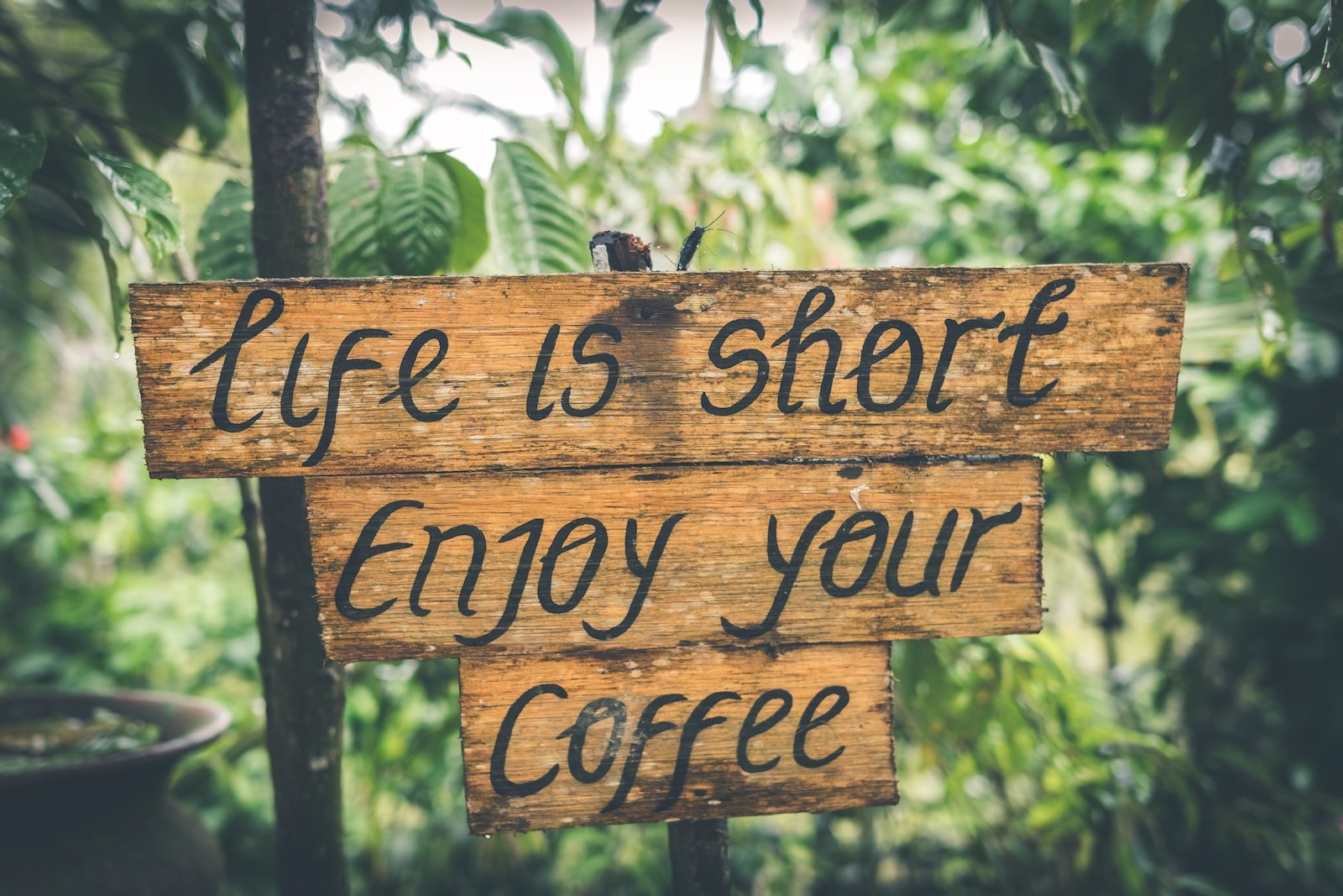 Förläng ditt liv med rätt mängd kaffe